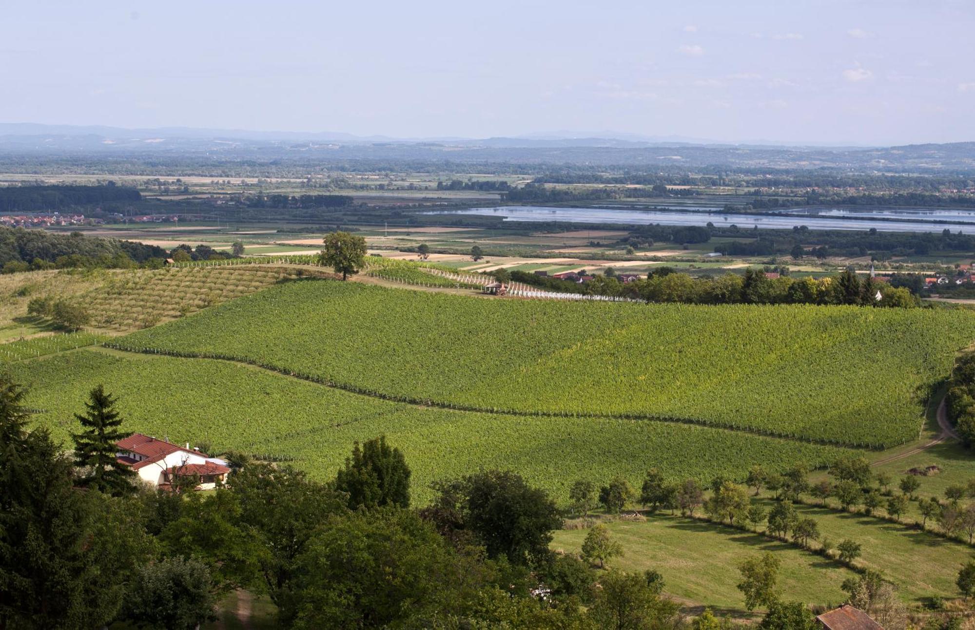 Stupnicki Dvori Winery Hotel Brodski Stupnik Luaran gambar