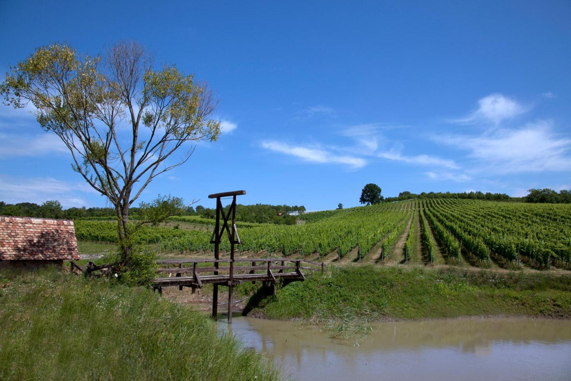 Stupnicki Dvori Winery Hotel Brodski Stupnik Luaran gambar