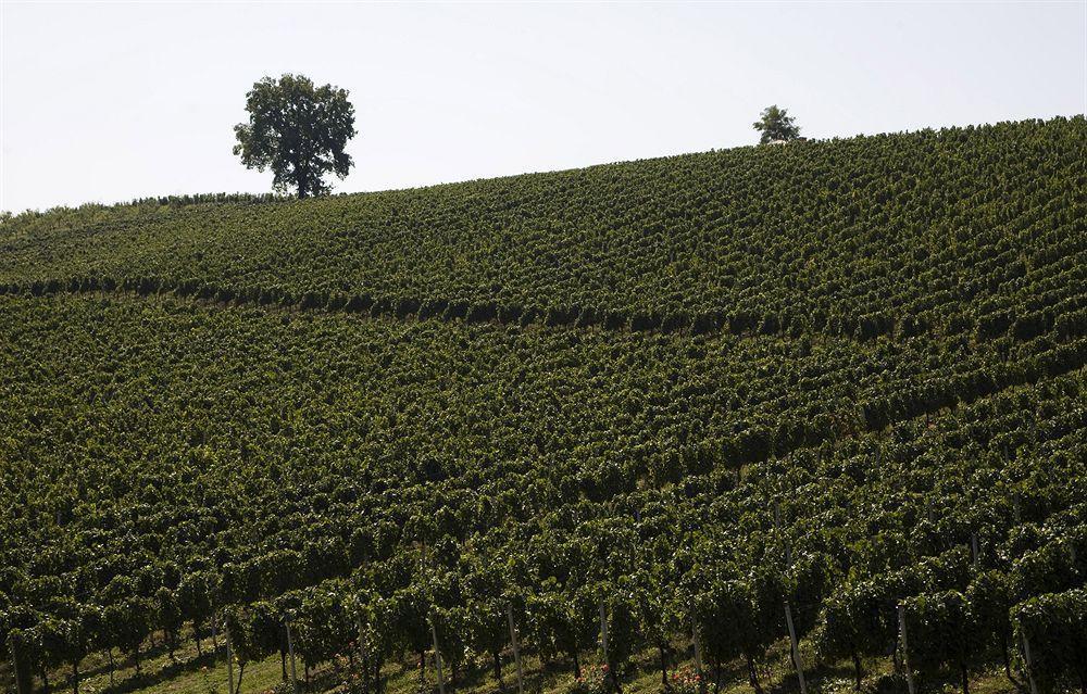 Stupnicki Dvori Winery Hotel Brodski Stupnik Luaran gambar